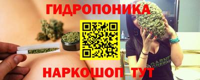 стаф Заводоуковск