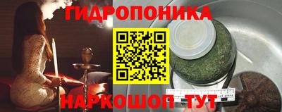 стаф Заводоуковск