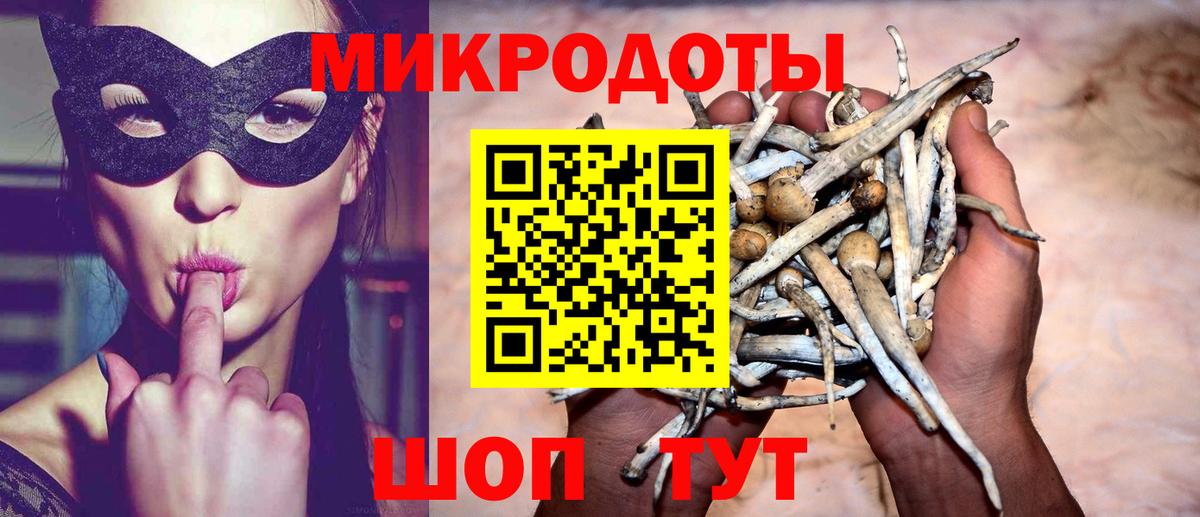 Моздок  Псилоцибиновые грибы мухоморы  Вход с VPN 